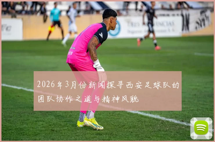 2026年3月份新闻探寻西安足球队的团队协作之道与精神风貌